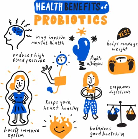 infographic about probiotic health benefits
